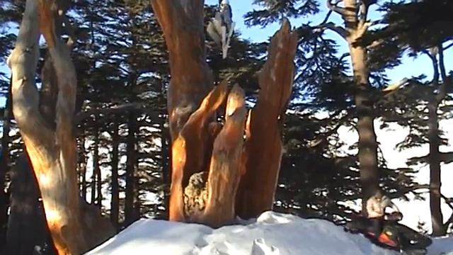 Kollaps i landing! смотреть онлайн