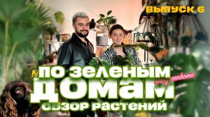 По зеленым домам! Выпуск 6. В гостях у Дарьи. Обзор комнатных растений в Казани.
