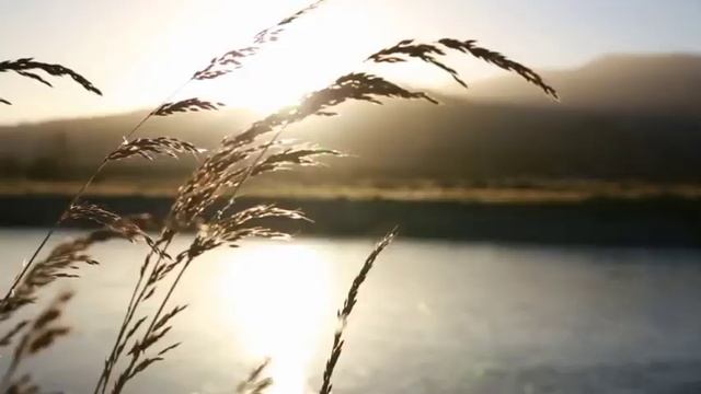 Аурып қалғанда оқылатын дұға #дұға
Ауырып жатқан адамға дұға смотреть онлайн