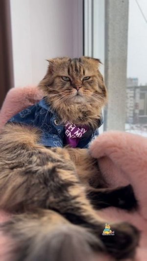 Лайфхак, как отпроситься у шефа с работы!😹