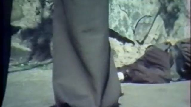 Lantern Street 1977) Judy Lee Chia Ling