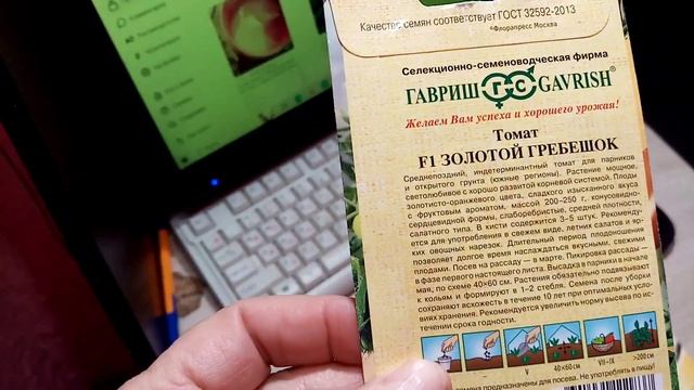 Помидоры сорта ГРЕБЕШОК🙂. Семейство ГРЕБЕШКОВЫХ🌞. Шикарный вид Помидор для Теплицы👍. 20.12.23г💖. смотреть онлайн