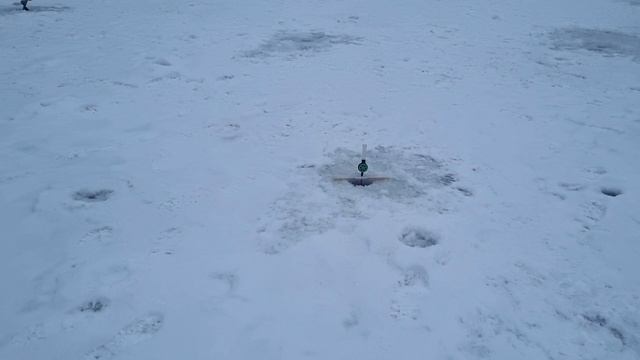 17-02-2025 смотреть онлайн