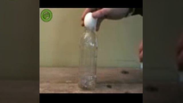 Как засунуть яицо в бутылку.3gp смотреть онлайн