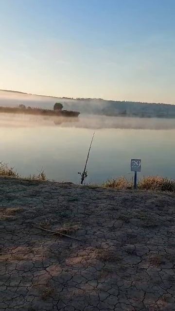 Трансильвания. Рыбалка на платном озере
2024-10-23 смотреть онлайн