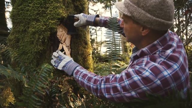 "The Detective": A Short on Big Leaf Maple Poaching from "Unthinkable Films" смотреть онлайн