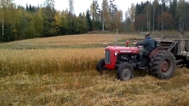 mf 35 ja aros m puimuri смотреть онлайн