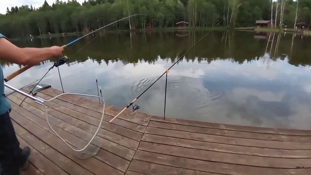 Линь смотреть онлайн