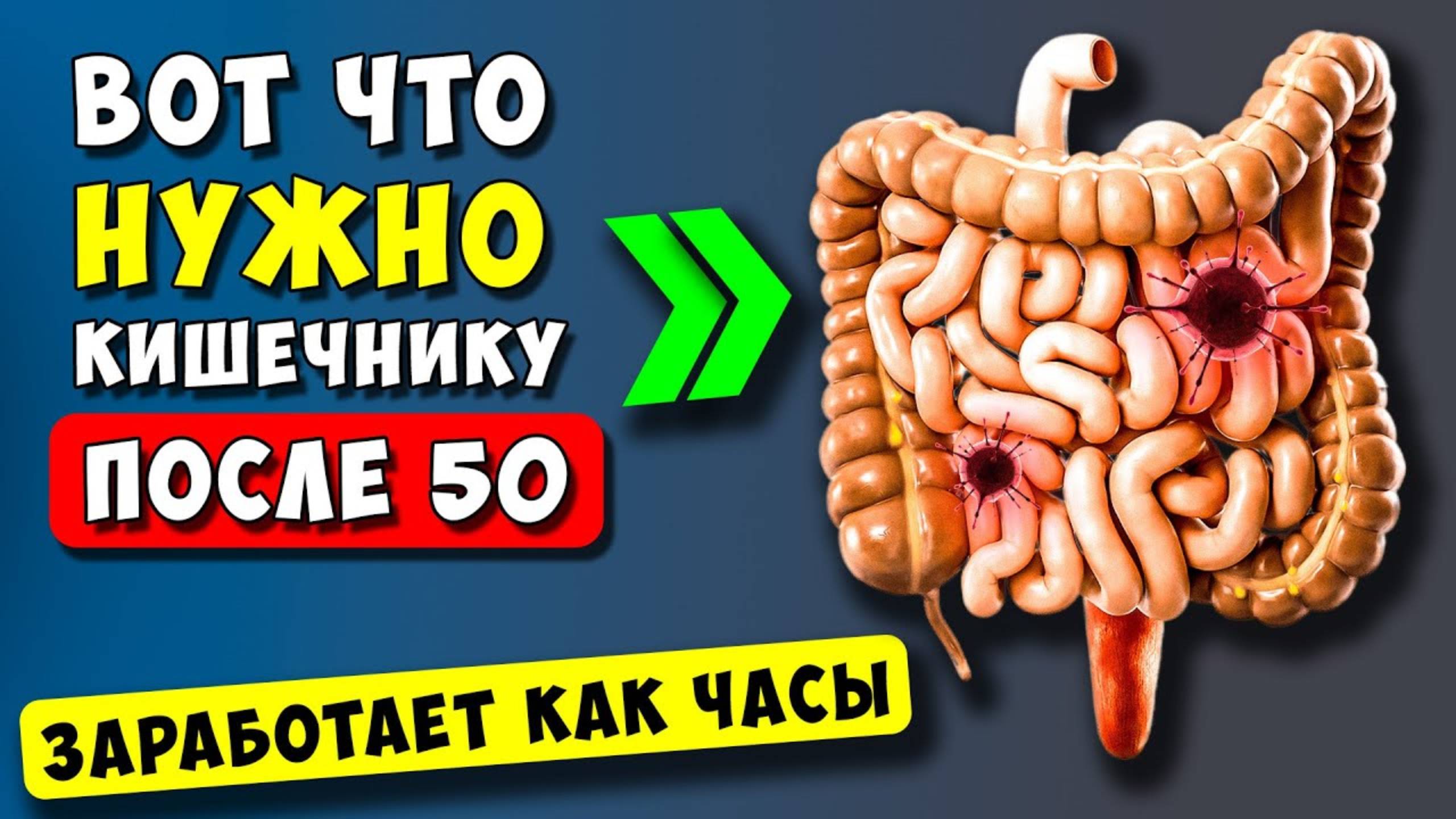 Эти 5 продуктов ЧИСТЯТ Кишечник после 50 лет! Супер еда для Кишечника... смотреть онлайн