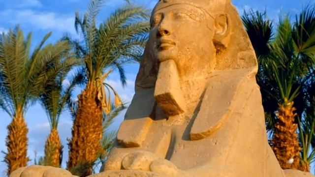 Welcome To New Egypt смотреть онлайн
