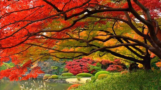 Урок 5. ex. 5.13 смотреть онлайн