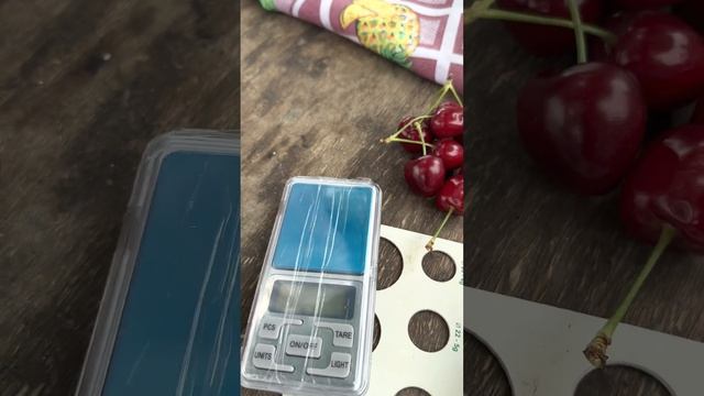 Гиластарды жаны сортору смотреть онлайн