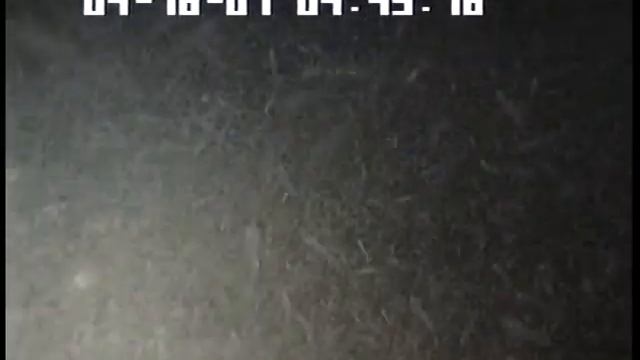 Dogfish Shark Swims Through Cloud of Krill смотреть онлайн