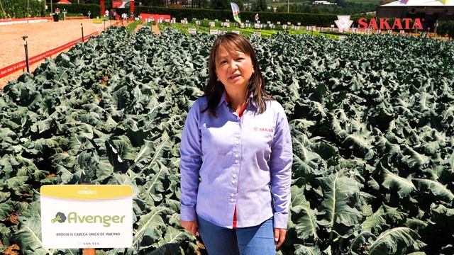 Brócolis Avenger смотреть онлайн