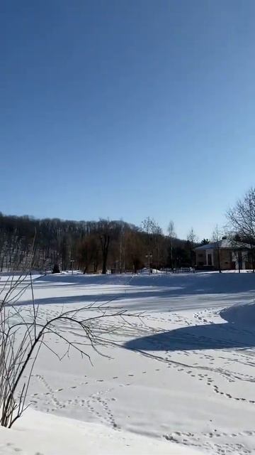 Б.Пастернак. Любить иных, тяжелый крест смотреть онлайн