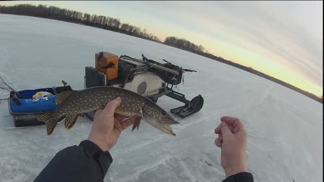 Закрытие зимнего сезона.С 20 марта щуку ловить нельзя .Киноочерк