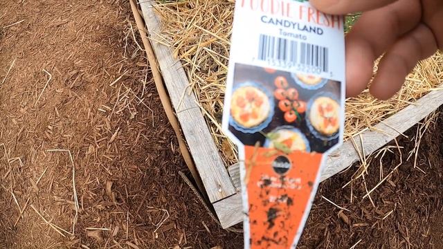 Full Garden Tour 2020 Week 3 смотреть онлайн