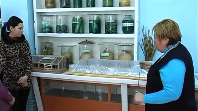 АГРО смотреть онлайн