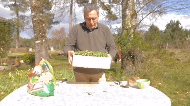 Faire pousser 300 radis pour moins de 2 euros (même sur un balcon) ! смотреть онлайн