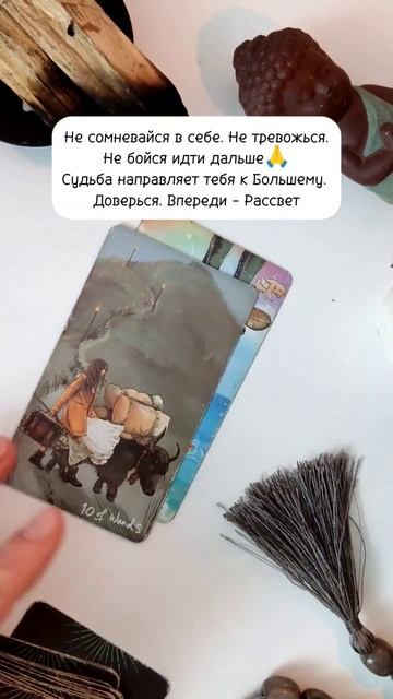 Расклад 1 вопрос тг @Shima_Baysanova #music #семья #жизнь #таро #шима #song смотреть онлайн