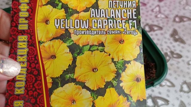 17-02-2025 Цветов не бывает много, сею ещё. смотреть онлайн