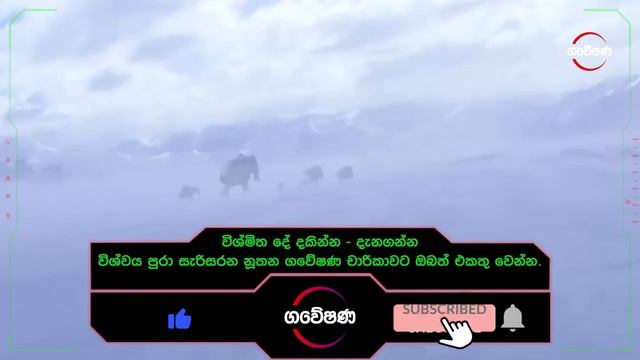 සිව්දල ඇතුන් | Gomphothere Sinhala video смотреть онлайн