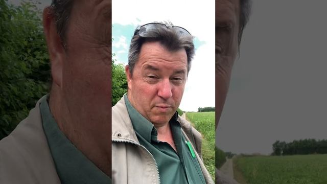 Red Millet in Kent July - 24th смотреть онлайн