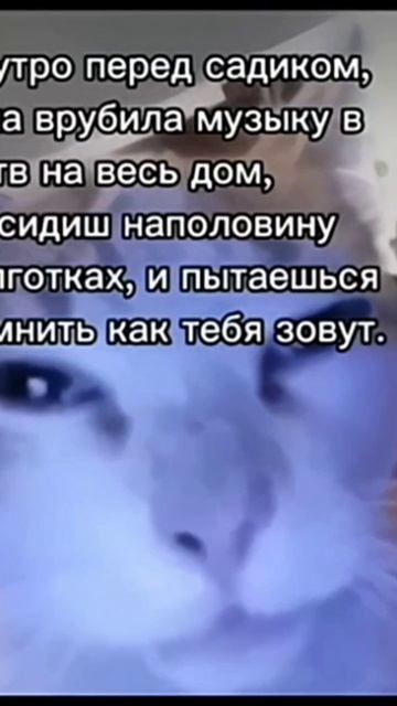 scene_output.mp4 смотреть онлайн