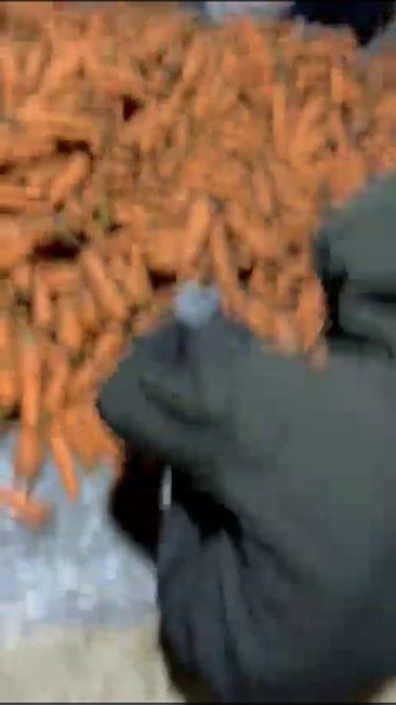 морковь оптом смотреть онлайн