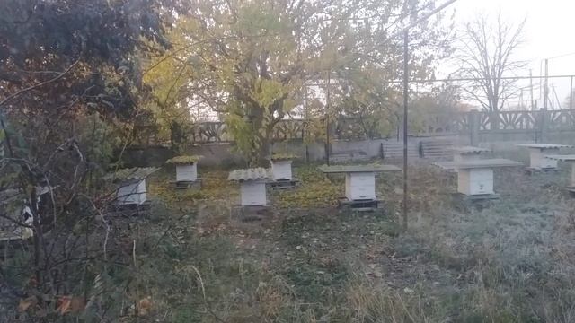 Зима уже совсем близко :) смотреть онлайн