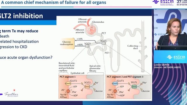 A common chief mechanism of failure for all organs Lennie Derde ESICM 2024