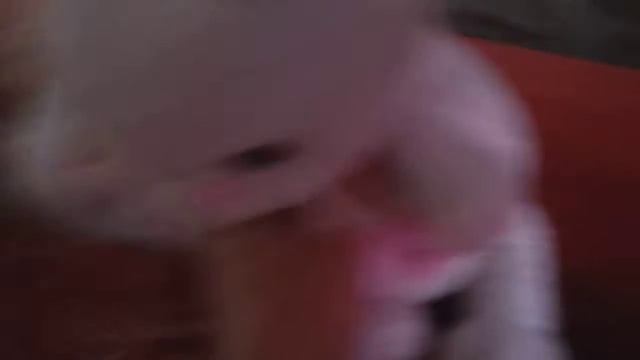 День с Лили и Ириской🐷 смотреть онлайн