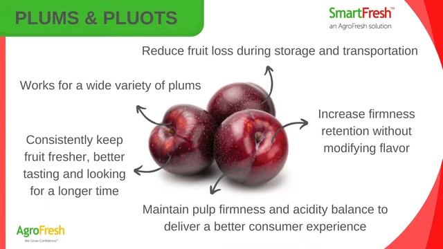 SmartFresh Qualtiy System benefits for PLUMS & PLUOTS смотреть онлайн