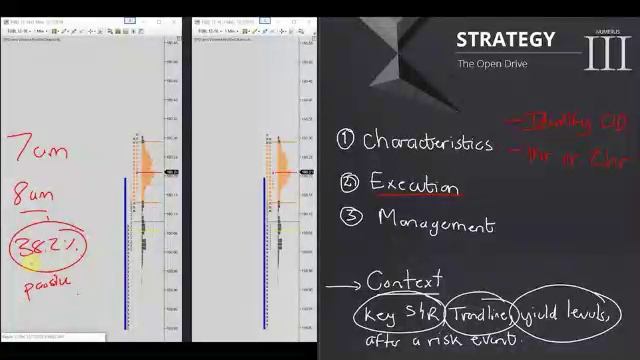 205. MODULE 3 - THE SPECIALIST PART 10-8 Strategy 3 Characteristics смотреть онлайн