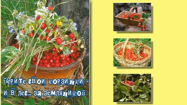 Земляника клубника ягода лета смотреть онлайн