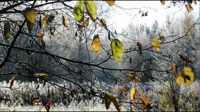 Иеромонах Роман. «Во многом знаньи – многая печаль...» смотреть онлайн