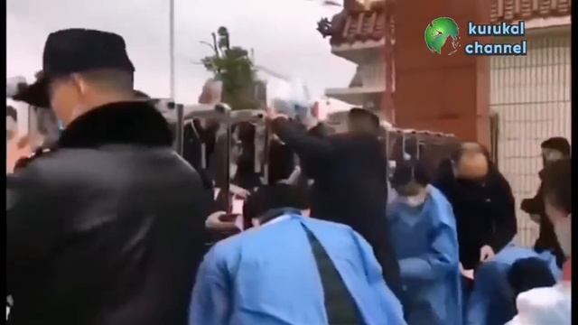Таинственный вирус из Китая! смотреть онлайн