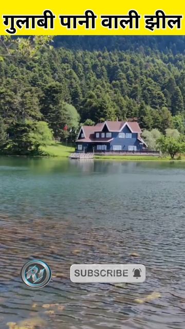 गुलाबी पानी की झील😱😱🔥||pink water lake||#amazingfacts#shorts#short#factshorts#unike facts in hindi смотреть онлайн