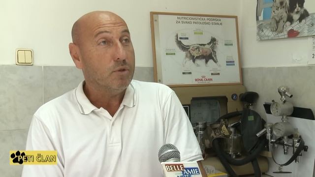 Peti Član - Emisija o ljubimcima - Maltezer смотреть онлайн