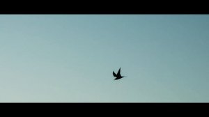 Мне бы жизнь за Тебя положить. Мученица Татиана Гримблит || трейлер