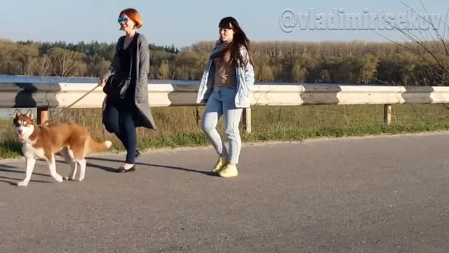 Путивль без комментариев № 64 смотреть онлайн