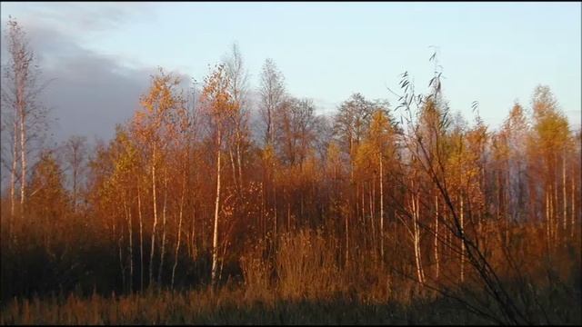 Иеромонах Роман. «Вся Росiя стала Полем Куликовым» смотреть онлайн