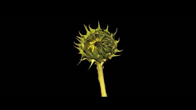 E Scott Lindner - 8 смотреть онлайн