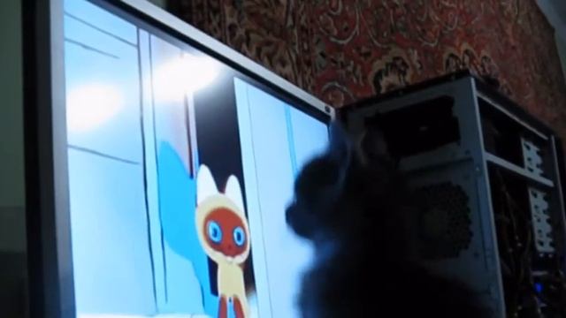 Кот Чувак смотрит мультик смотреть онлайн