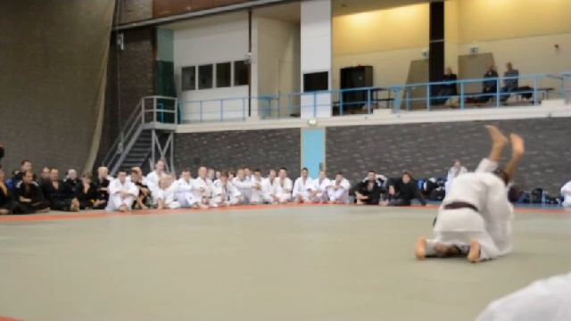Free techniques Yoseikan Ju-Jutsu by Matthieu Lawalata.avi смотреть онлайн