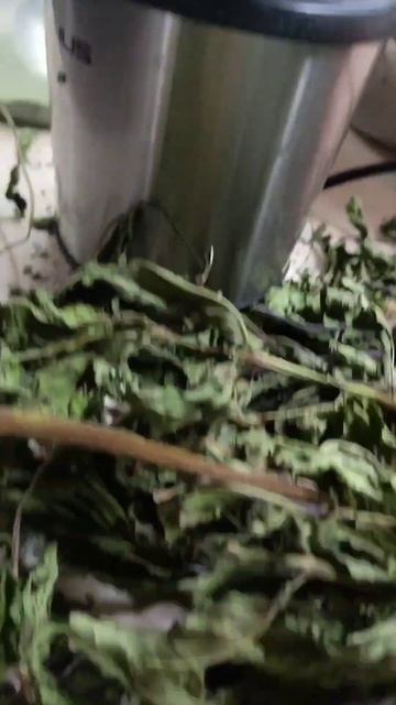 Preparando polvo de menta, un placer para todos los sentidos смотреть онлайн