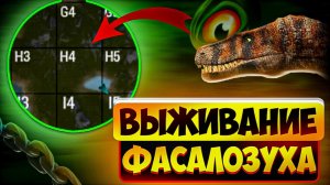 Выживание за фасолозуха на Н4