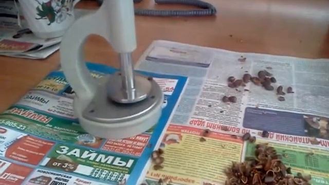 Орехокол будущего:) смотреть онлайн