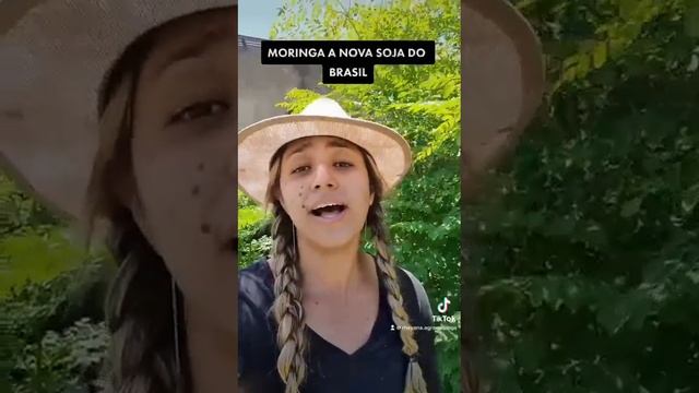 MORINGA A NOVA SOJA DO BRASIL смотреть онлайн