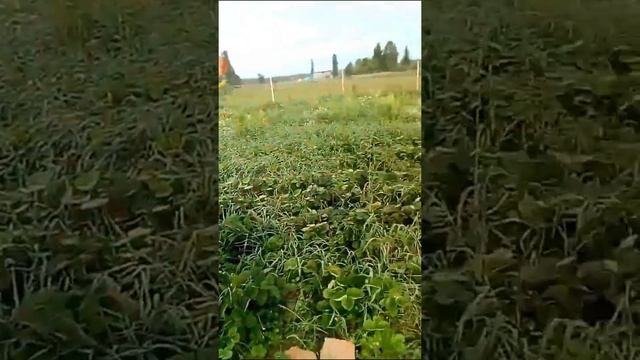 пиар канала ирина тишвина смотреть онлайн